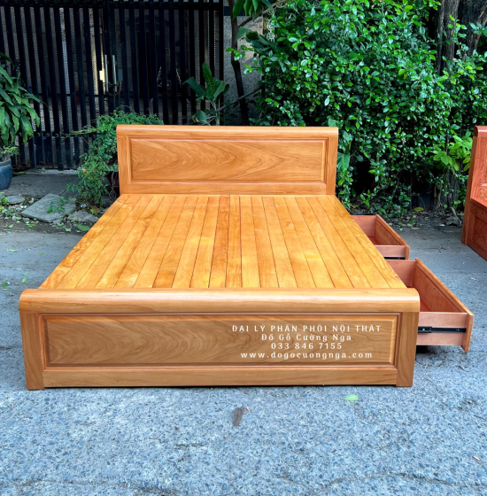 Giường Gỗ Gõ Đỏ Hiện Đại 2 Ngăn Kéo 