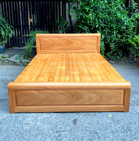 Giường Gỗ Gõ Đỏ Hiện Đại 2 Ngăn Kéo 