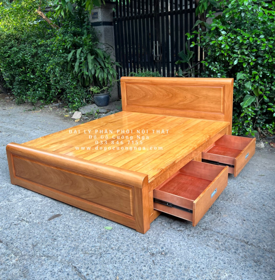 Giường Gỗ Gõ Đỏ Hiện Đại 2 Ngăn Kéo 